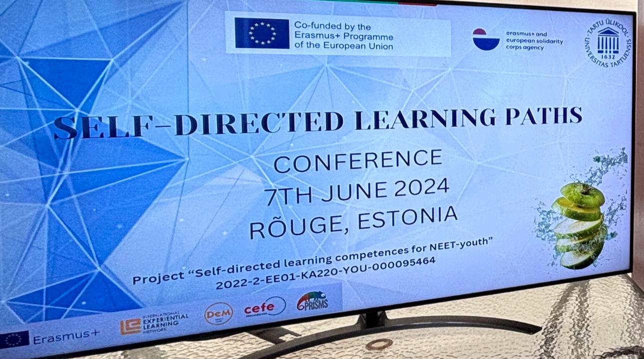 Estonya 2024 – Self Directed Learning Paths Kongresi - Prof. Dr. İlke Evin Gencel akademik etkinlik fotoğrafı